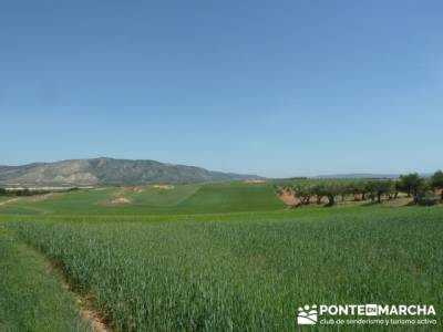 Ruta de las Caras - Buendía (Embalse de Buendía); senderismo sierra huelva